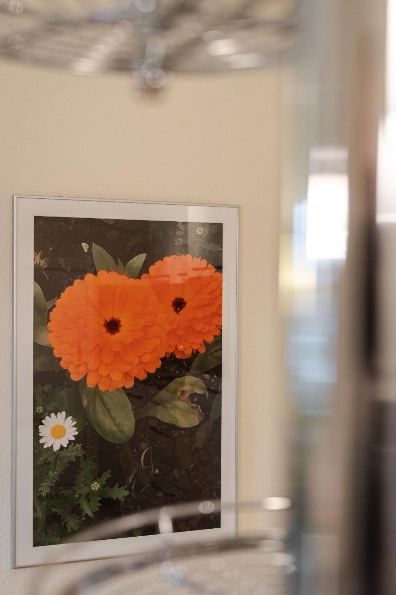 Fewo Ringelblume List Exteriér fotografie
